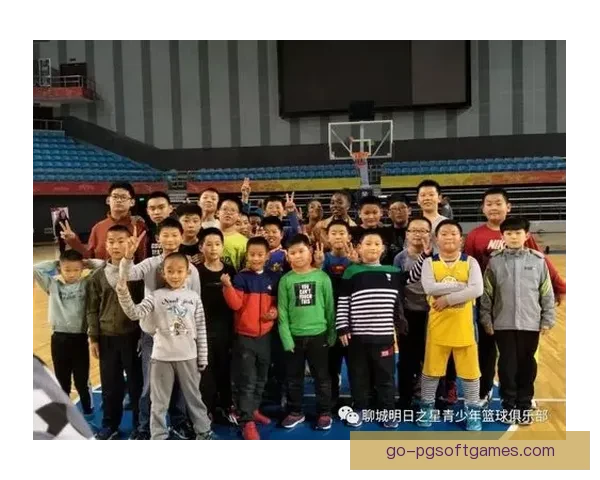 查询篮球球队详细数据一站式服务