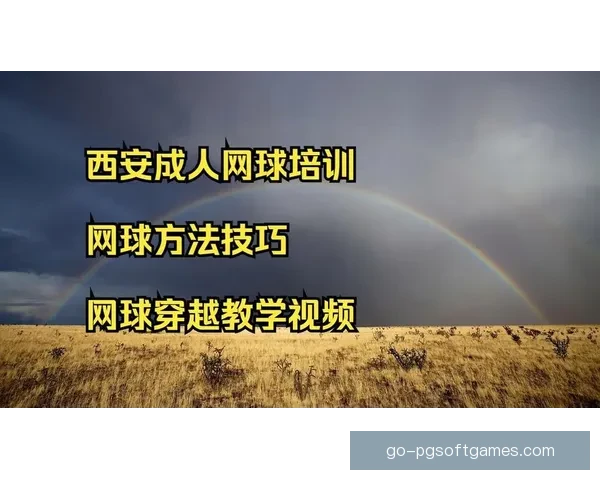 优质网球教学视频分享盘点