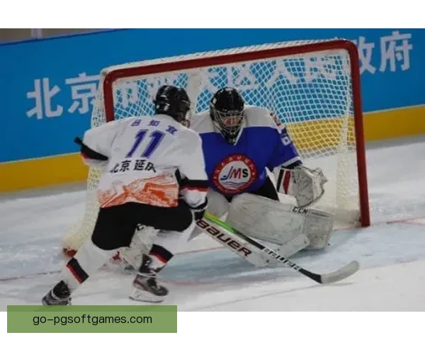 冰球初学者必知：入门指南及技巧