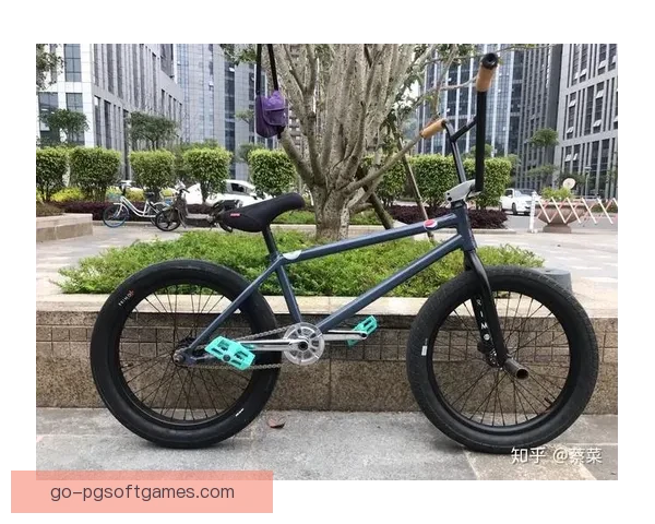 快速掌握BMX技巧的入门指南 快速掌握BMX技巧的入门指南