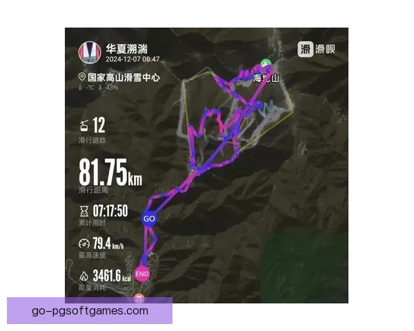 滑雪数据分析：揭秘高山雪场的胜负关键