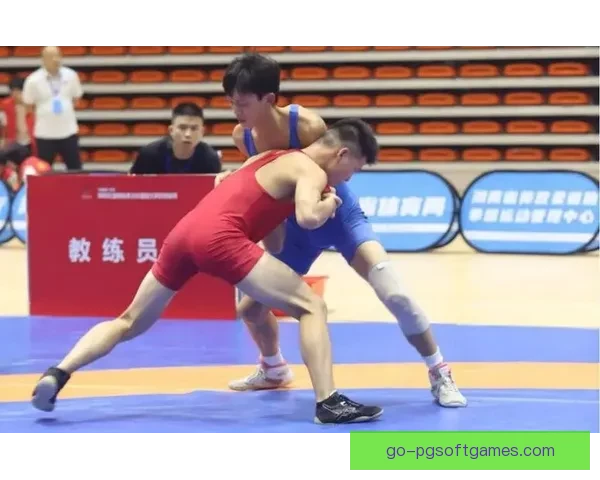 激情对决：巅峰之战，摔跤邀请赛圆满落幕