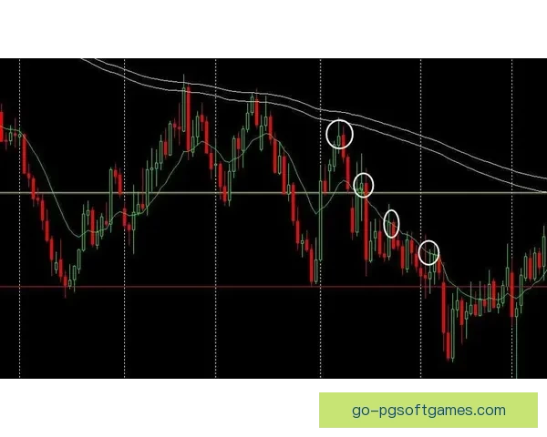 游泳赛事精准预测技术分析
