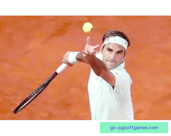 网球入门必备技巧与注意事项 网球入门必备技巧与注意事项