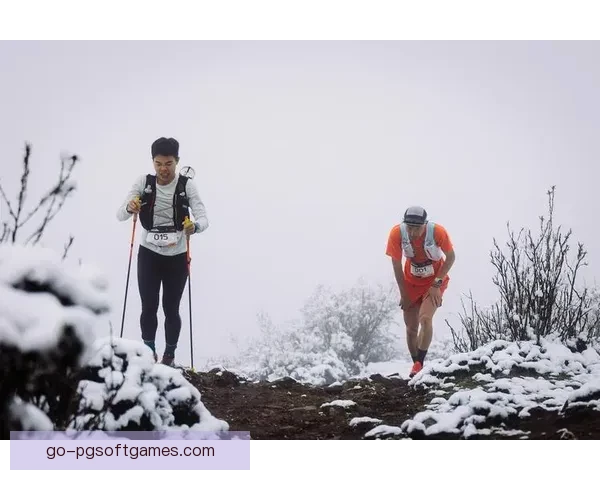 越野跑比赛实力对比分析及冠军预测