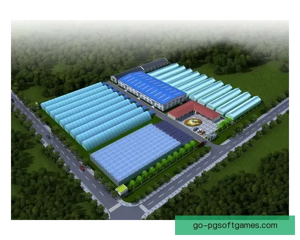 跳水杯赛：纷争与精彩绽放